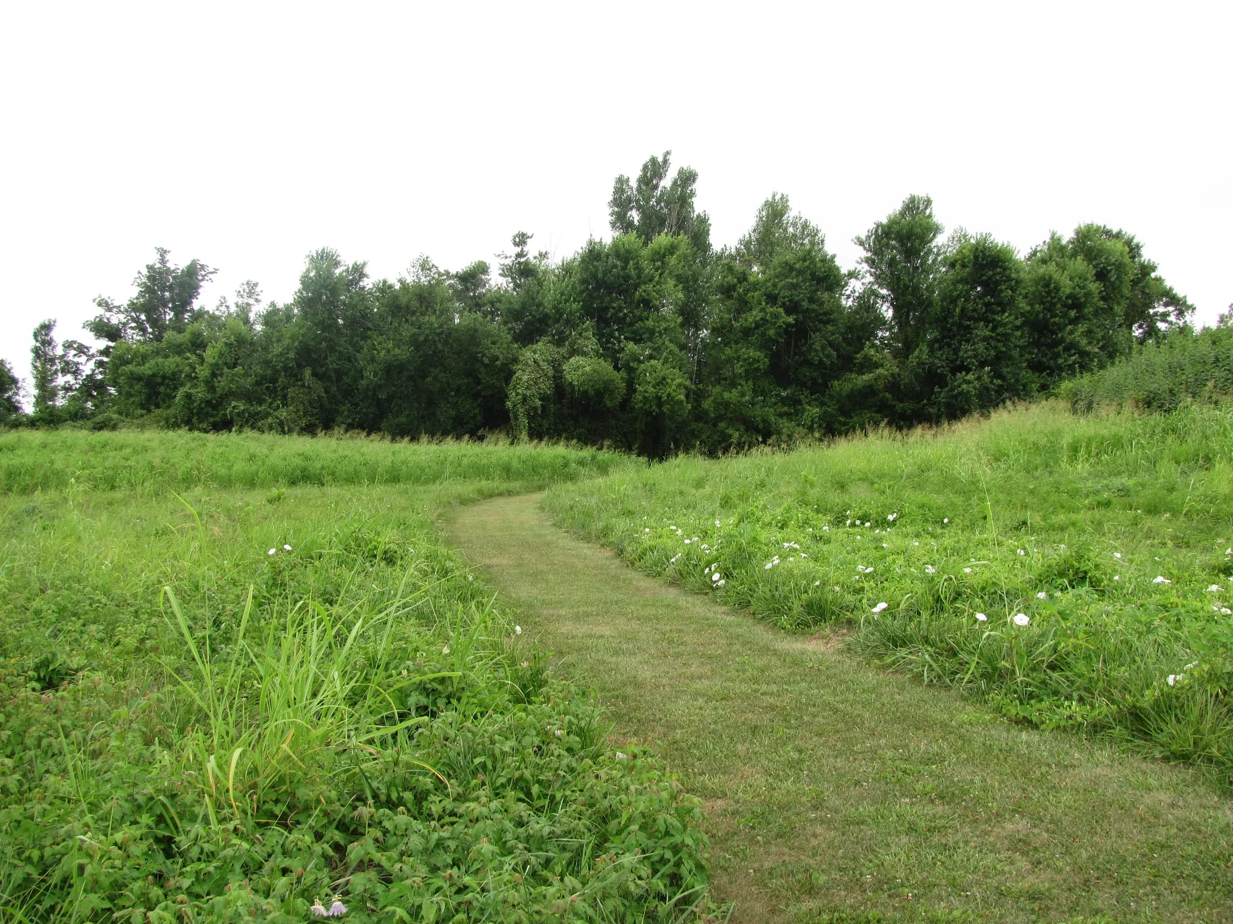 A mown path past a grassy mound at Towosahgy State Historic Site